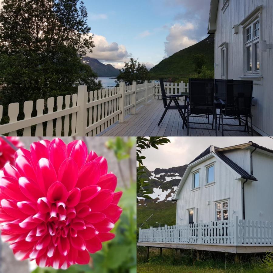 Pilan Lodge Lofoten Vestpollen Екстериор снимка