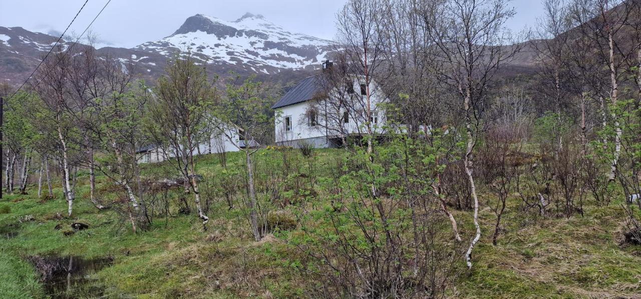Pilan Lodge Lofoten Vestpollen Екстериор снимка