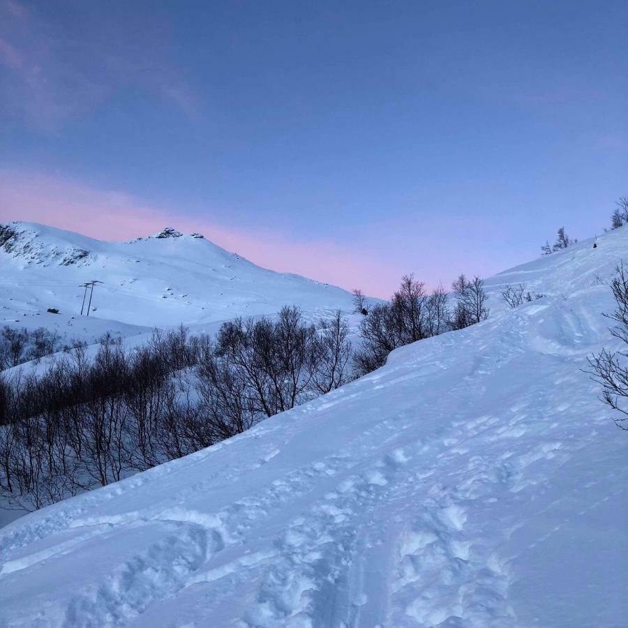 Pilan Lodge Lofoten Vestpollen Екстериор снимка