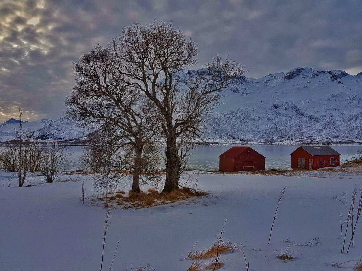 Pilan Lodge Lofoten Vestpollen Екстериор снимка
