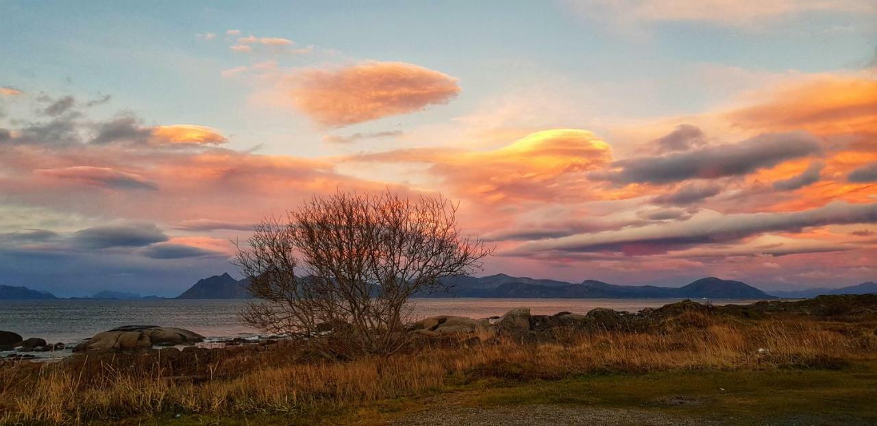 Pilan Lodge Lofoten Vestpollen Екстериор снимка